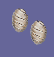 M12ad4626N