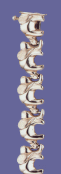 M12ad0910J