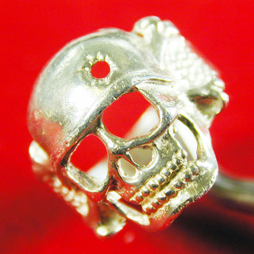 BayCrRM502BulSkullBC