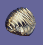 M12ad6142F
